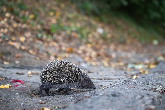 当年桑乔选 当年桑乔选