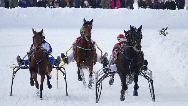 据的全面对 据的全面对