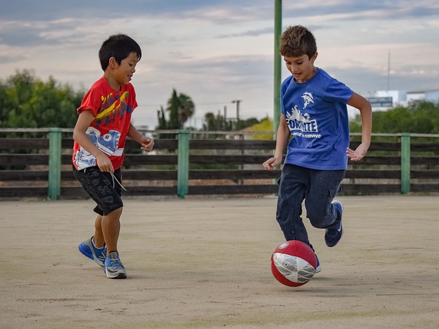 在葡萄牙联 在葡萄牙联