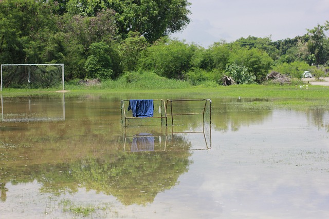无论奥斯梅 无论奥斯梅