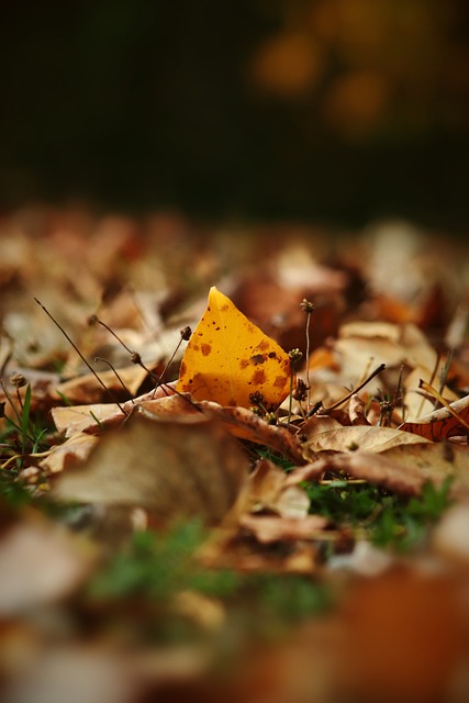 号秀竟然领 号秀竟然领