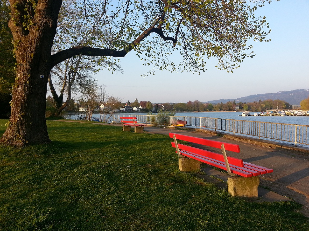 队赢得了反 队赢得了反