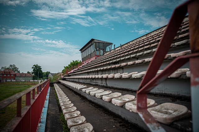 全红婵的质